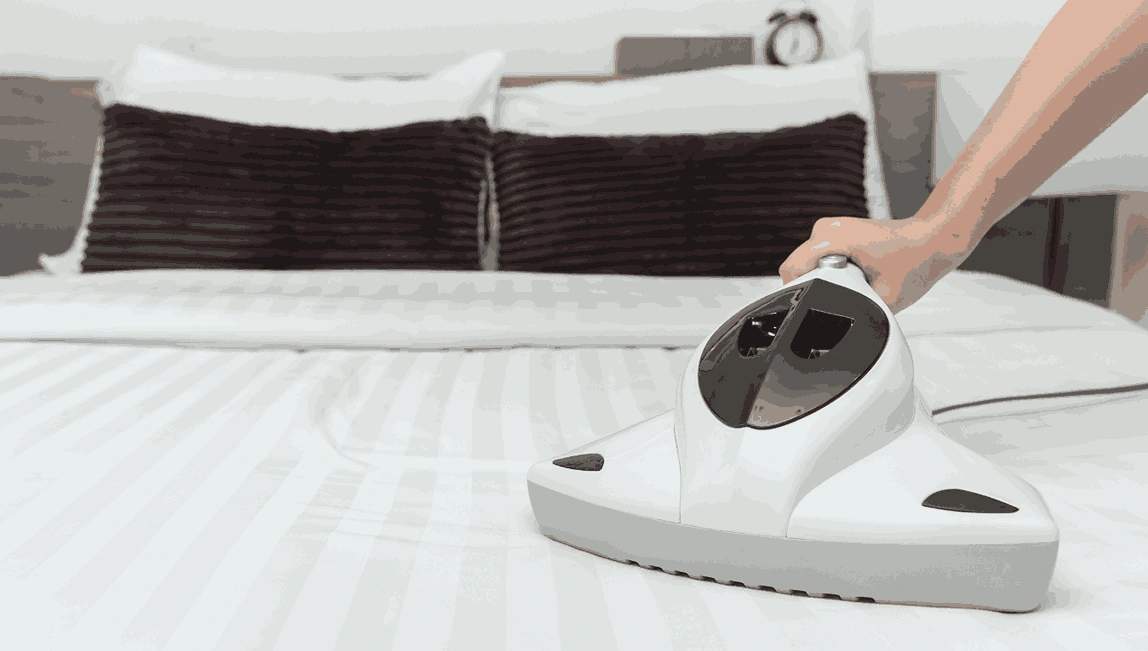 Professional Mattress Cleaning Shoreham